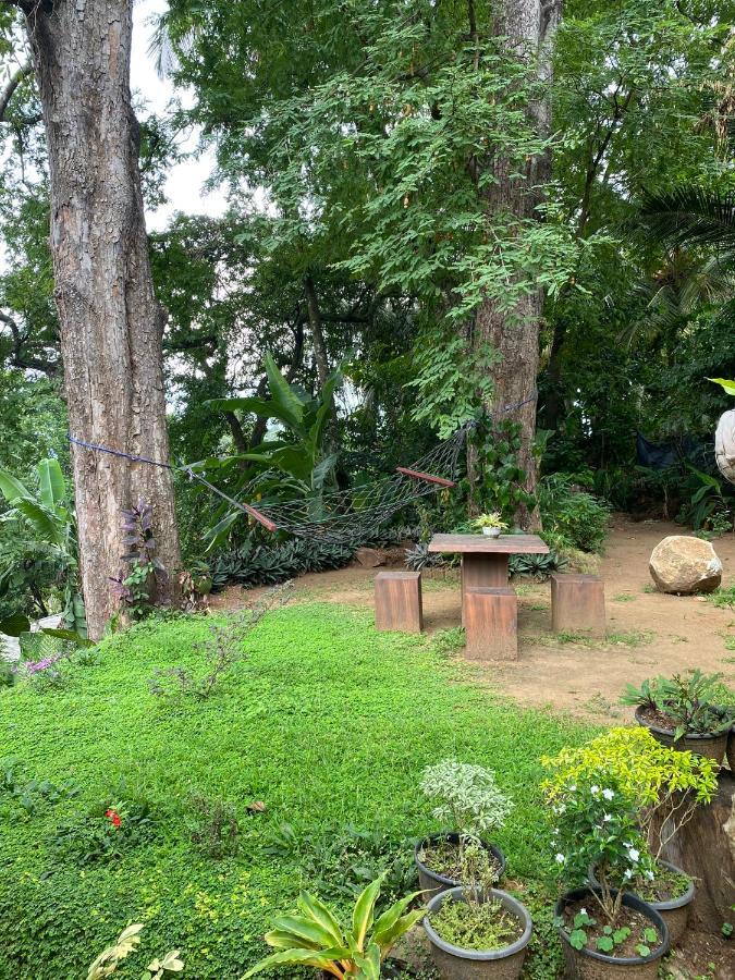 Pearl'S Homestay Matale Esterno foto