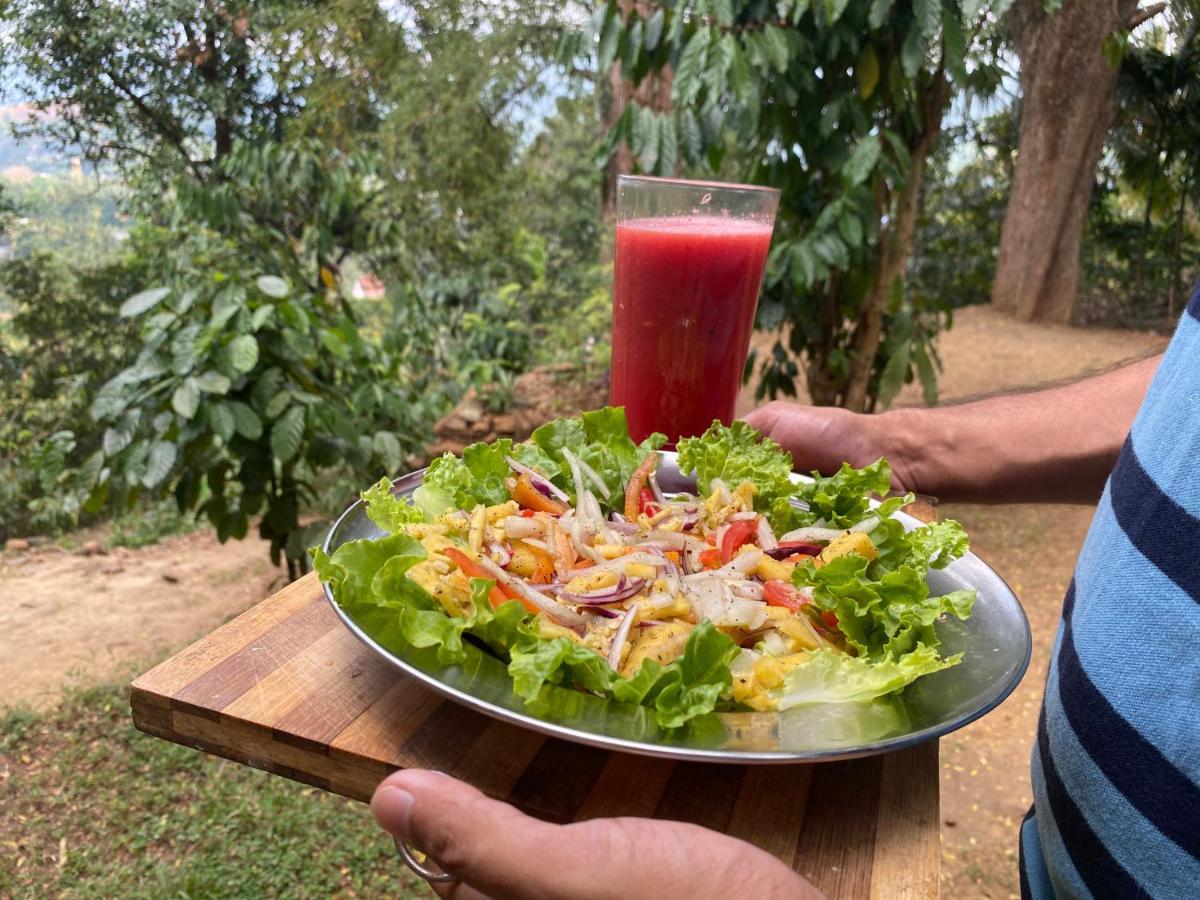 Pearl'S Homestay Matale Esterno foto