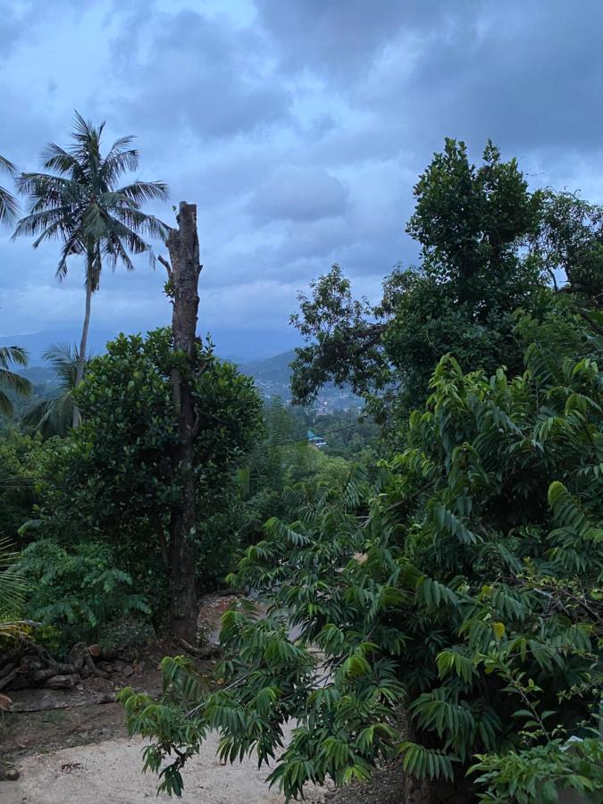 Pearl'S Homestay Matale Esterno foto