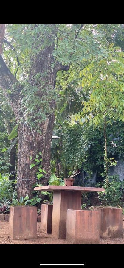 Pearl'S Homestay Matale Esterno foto